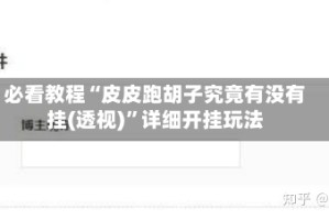 必看教程“皮皮跑胡子究竟有没有挂(透视)”详细开挂玩法