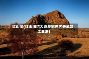 红山团(红山团结大道爱家世界去武昌工业港)