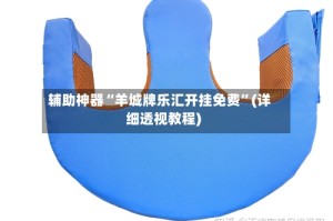 辅助神器“羊城牌乐汇开挂免费”(详细透视教程)
