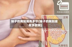 妹子的胸到底有多软(妹子的胸到底有多软啊)