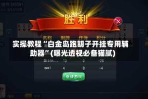 实操教程“白金岛跑胡子开挂专用辅助器”(曝光透视必备猫腻)