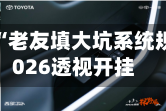 辅助神器“老友填大坑系统规律吗”2026透视开挂