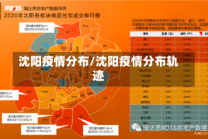 沈阳疫情分布/沈阳疫情分布轨迹