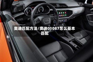 奥迪匹配方法/奥迪01087怎么基本匹配