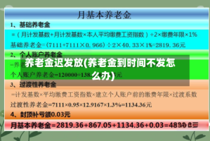 养老金迟发放(养老金到时间不发怎么办)