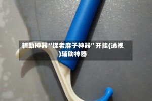 辅助神器“捉老麻子神器”开挂(透视)辅助神器