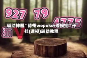 辅助神器“德州wepoker透视挂”开挂(透视)辅助教程