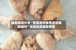 辅助教程分享“智星德州菠萝透视辅助插件”详细透视辅助教程