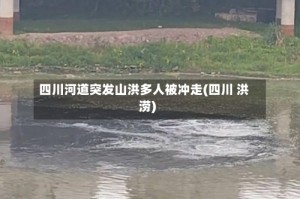 四川河道突发山洪多人被冲走(四川 洪涝)