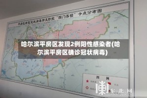 哈尔滨平房区发现2例阳性感染者(哈尔滨平房区确诊冠状病毒)