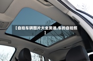 【自拍车辆图片大全奥迪,车的自拍照】