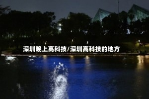深圳晚上高科技/深圳高科技的地方