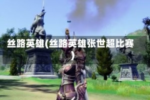 丝路英雄(丝路英雄张世超比赛)