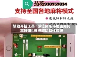 辅助开挂工具“微信微乐斗地主如何拿好牌”详细辅助软件教程