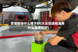 变速箱油什么牌子好(大众变速箱油用什么品牌的好)