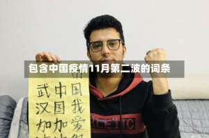 包含中国疫情11月第二波的词条