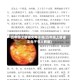 五年级上册语文电子书(五年级上册语文电子书人教版)