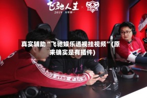 真实辅助“飞驰娱乐透视挂视频”(原来确实是有插件)