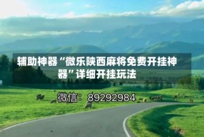 辅助神器“微乐陕西麻将免费开挂神器”详细开挂玩法