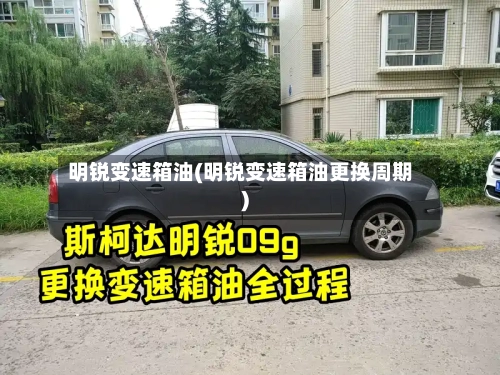 明锐变速箱油(明锐变速箱油更换周期)-第1张图片
