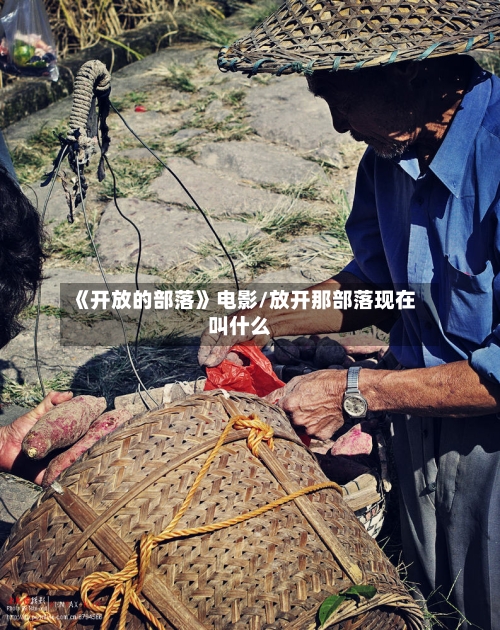 《开放的部落》电影/放开那部落现在叫什么-第1张图片