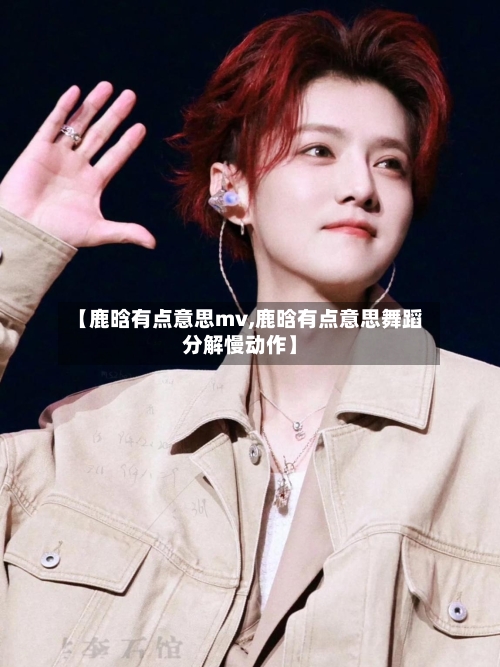 【鹿晗有点意思mv,鹿晗有点意思舞蹈分解慢动作】-第2张图片