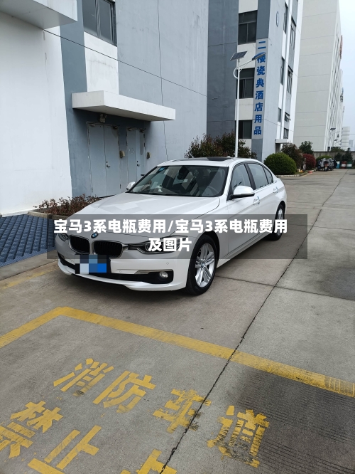 宝马3系电瓶费用/宝马3系电瓶费用及图片-第3张图片