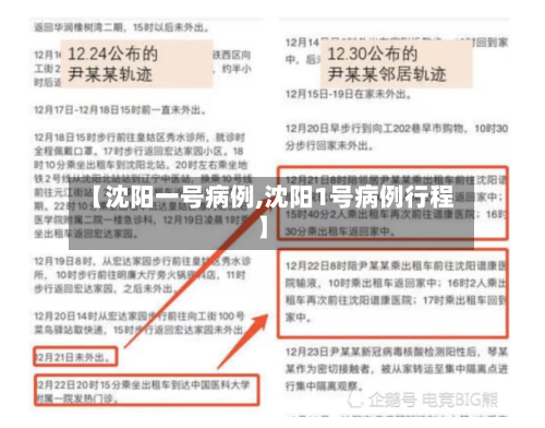 【沈阳一号病例,沈阳1号病例行程】-第3张图片