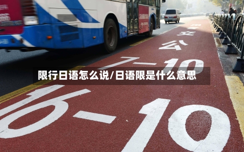 限行日语怎么说/日语限是什么意思-第3张图片