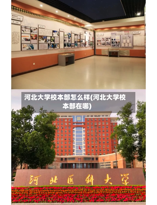 河北大学校本部怎么样(河北大学校本部在哪)-第1张图片