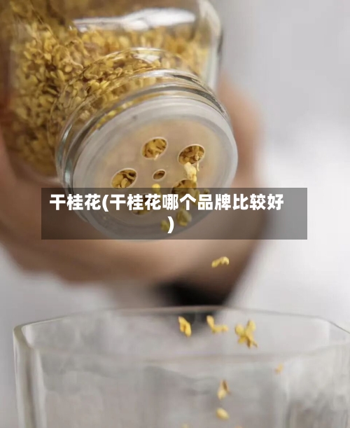 干桂花(干桂花哪个品牌比较好)-第3张图片