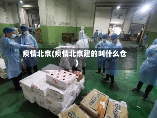 疫情北京(疫情北京建的叫什么仓)-第1张图片
