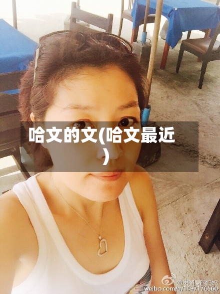 哈文的文(哈文最近)-第3张图片