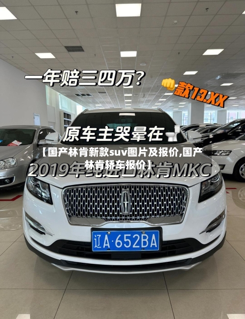 【国产林肯新款suv图片及报价,国产林肯轿车报价】-第3张图片