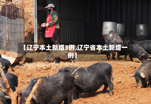 【辽宁本土新增3例,辽宁省本土新增一例】-第1张图片