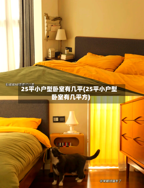 25平小户型卧室有几平(25平小户型卧室有几平方)-第3张图片