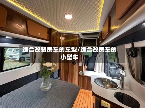适合改装房车的车型/适合改房车的小型车-第2张图片