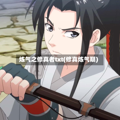 炼气之修真者txt(修真炼气期)-第1张图片