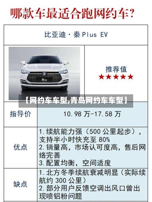 【网约车车型,青岛网约车车型】-第2张图片