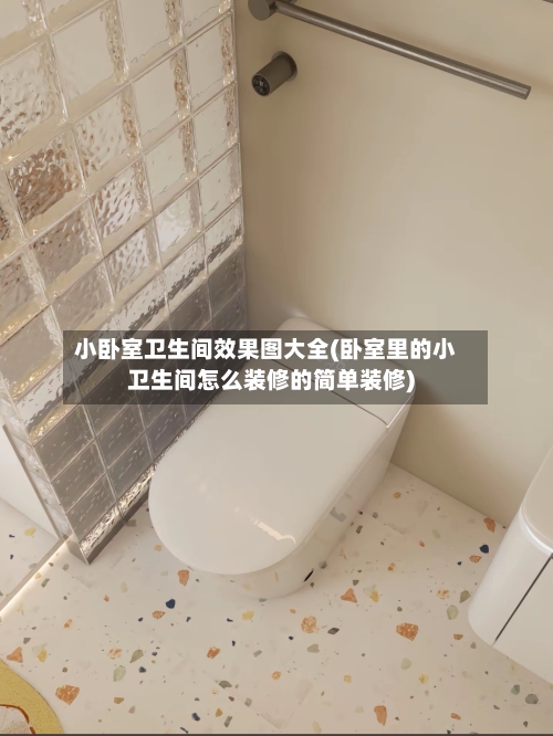 小卧室卫生间效果图大全(卧室里的小卫生间怎么装修的简单装修)-第1张图片
