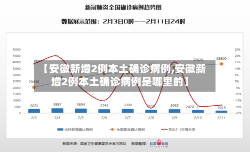 【安徽新增2例本土确诊病例,安徽新增2例本土确诊病例是哪里的】-第2张图片