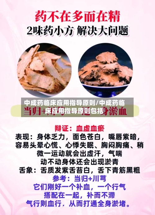 中成药临床应用指导原则/中成药临床应用指导原则包括-第1张图片