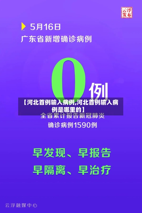 【河北首例输入病例,河北首例输入病例是哪里的】-第3张图片