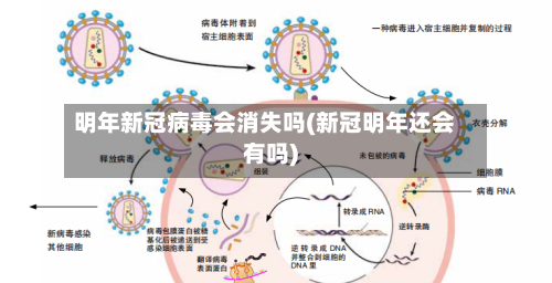 明年新冠病毒会消失吗(新冠明年还会有吗)-第1张图片
