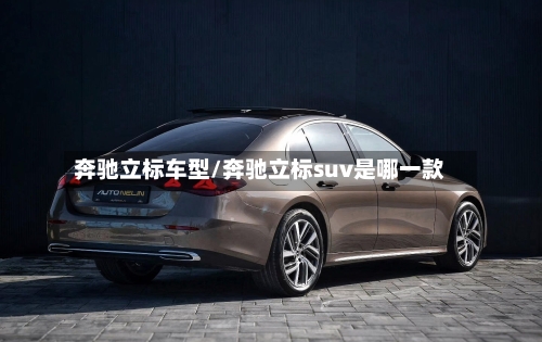 奔驰立标车型/奔驰立标suv是哪一款-第2张图片
