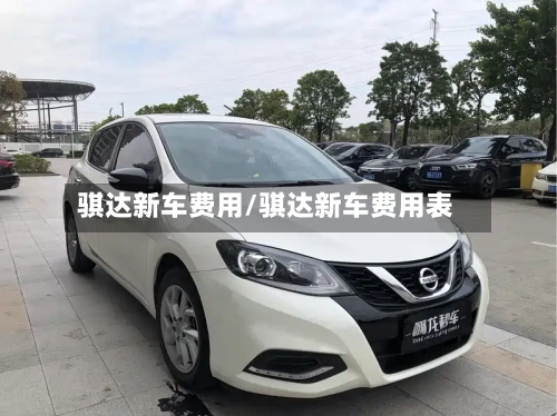 骐达新车费用/骐达新车费用表-第2张图片