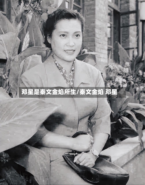 邓星是秦文金焰所生/秦文金焰 邓星-第2张图片