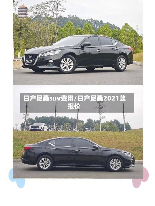 日产尼桑suv费用/日产尼桑2021款报价-第3张图片