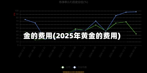金的费用(2025年黄金的费用)-第2张图片