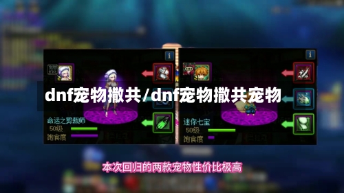 dnf宠物撒共/dnf宠物撒共宠物-第1张图片